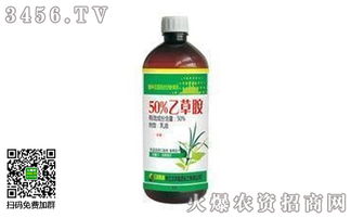 不同品牌， 价格各不同