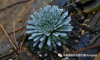 常见问题解答：