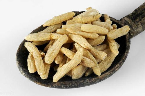 天冬与麦冬有何不同？一篇文章揭秘它们的区别