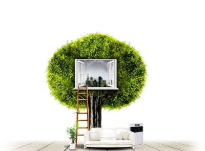 绿宝树每隔几天浇水最合适？如何正确浇水以保持其健康生长