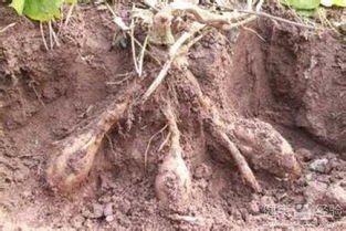 拍摄技巧大盘点