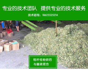 秸秆发酵最简单处理方法中，秸秆发酵技术的全过程是怎样的？