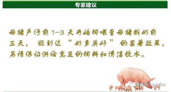 母猪产后便秘的原因有哪些？如何预防及缓解