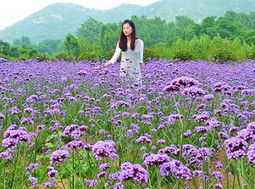 选择植物，各取所需