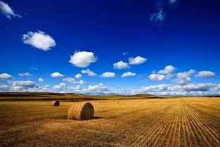 网红案例：蓝色海洋的震撼