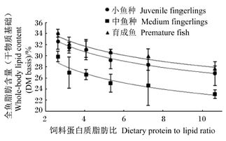 饲料配方主要看哪些参数？蛋白质含量、脂肪比例、纤维水平等关键指标如何确定？