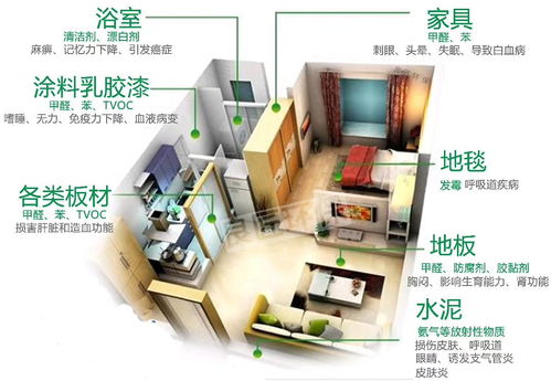 天然除醛， 有奇效