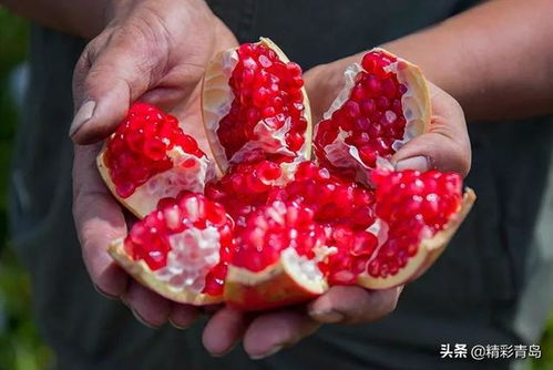 果实偏小怎么办