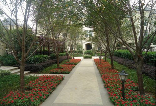 入口风景线， 色彩斑斓开道来