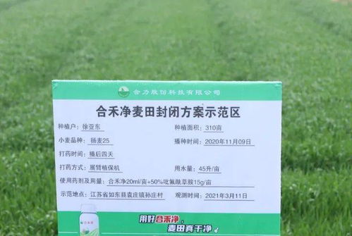 35%氟噻草胺·吡氟酰草胺悬浮剂，效果怎么样？