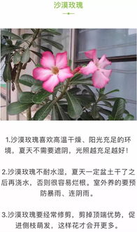 冬天的温暖陪伴