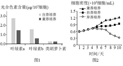 《水循环在农业中的应用：提升作物产量的关键策略》