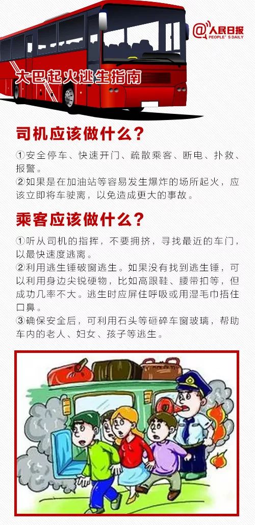 木棉花的春天：探索可食用部位