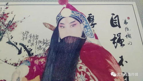 北方室内如何养好宝莲灯？光照和湿度如何把握