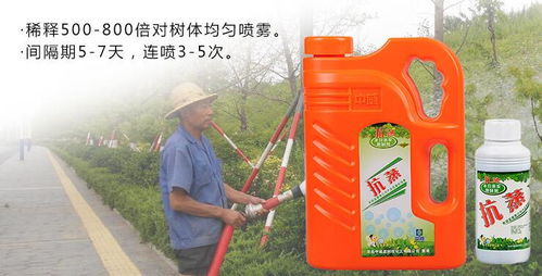 生根剂和保水剂， 救星来啦