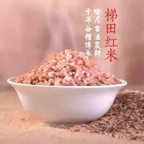 网购种子的血泪教训