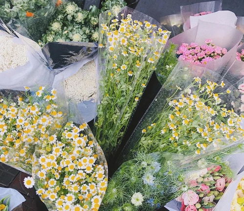 5个网上买花避坑指南，让你不花冤枉钱