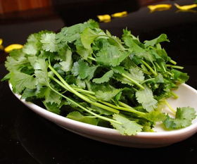 香菜：传说中的驱鼠神菜