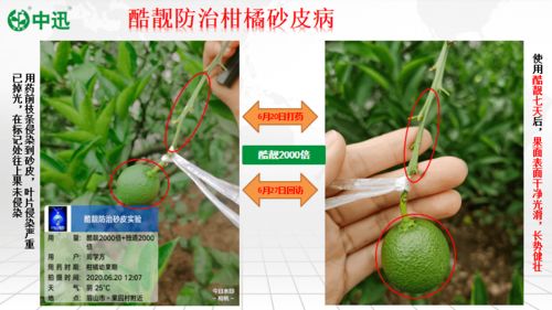 科学选择， 对症下药