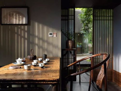 茶桌摆放绿植，如何让茶室更有格调