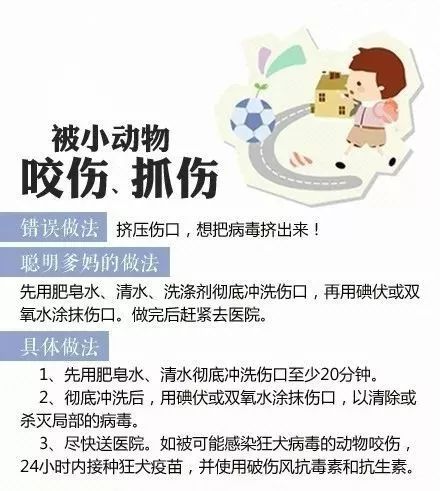 猪饲料中毒后有哪些紧急处理措施和应对方案？急救办法有哪些？