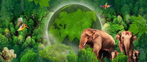 守护之力在探索植物世界中的守护者