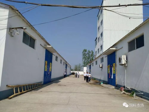 河南省前30家饲料企业中，南阳饲料厂排名如何？