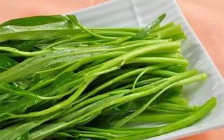 “空心菜南北别称揭秘，SEO爆款花卉关键词”