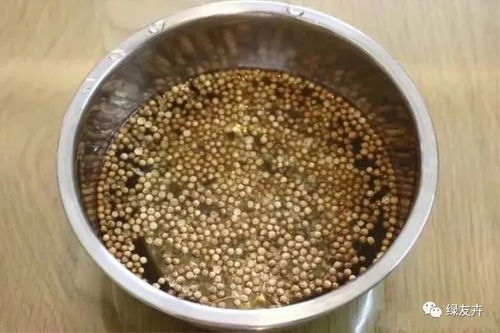 防水层与种植土