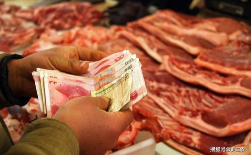 今天农安猪价是多少？最近猪肉价格有没有上涨？