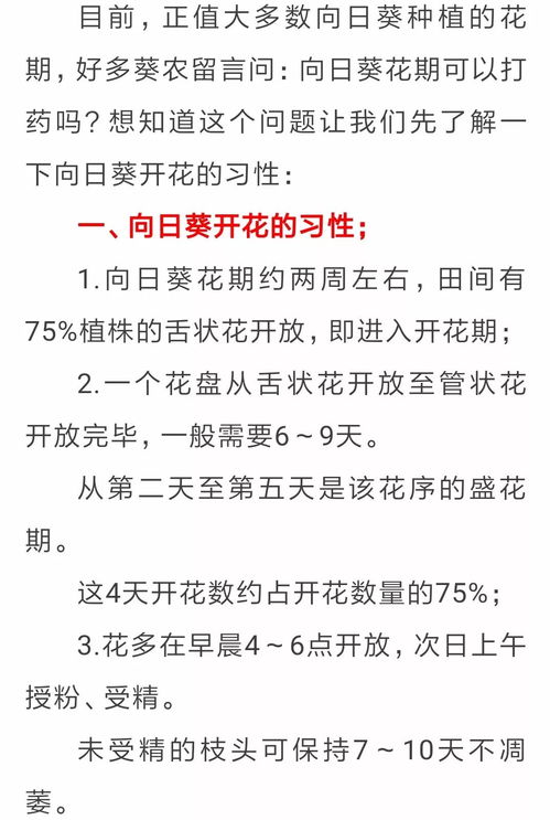 葵花打药时间表