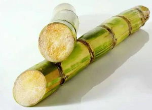 购买途径，门店geng放心