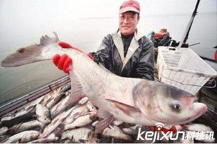 皮疣症威胁渔业，养殖者速学防治之道