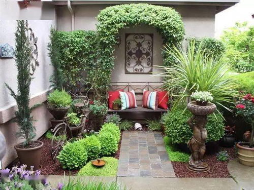 庭院里的阴凉角落， 花草种植小秘密