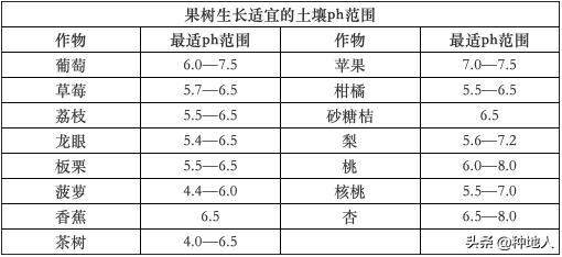 调节土壤酸碱度的方法