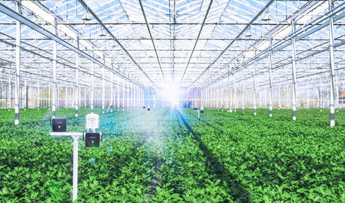 ②使用场景要对号