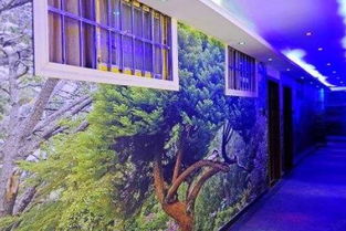 紫藤之梦， 大门之上