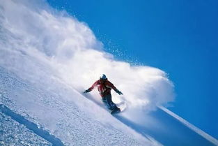 雪松实业集团的大腕儿