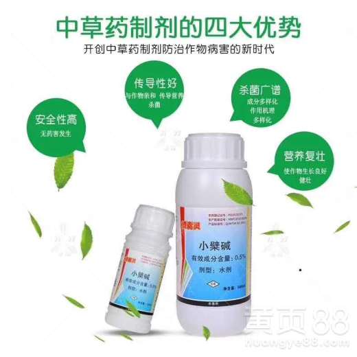 柑橘清园和防治灰霉病分别使用哪种高效杀菌剂最合适？