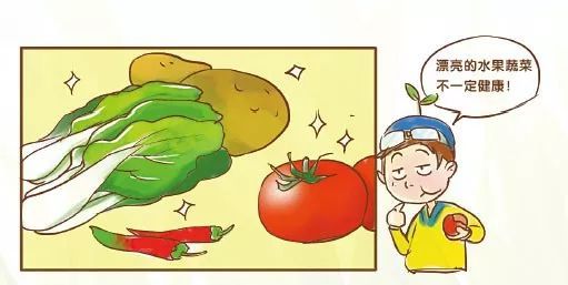 农药残留期的不同类型