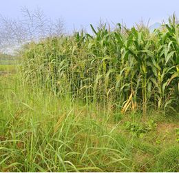 除根，得注意平安和环保