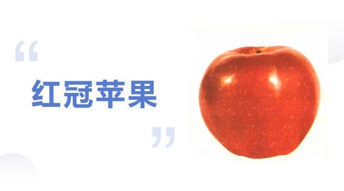 红星苹果如何才能自然上色变红？