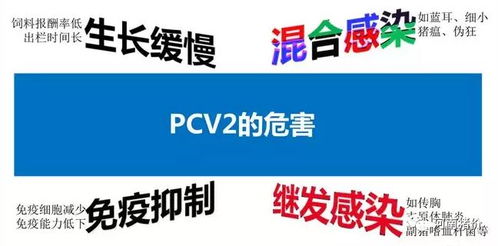 如何通过三步优化断奶仔猪的24°C舍温管理？