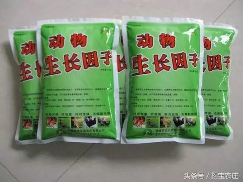 大王饲料有限公司的饲料成分中是否含有对宠物有益的天然中草药成分？