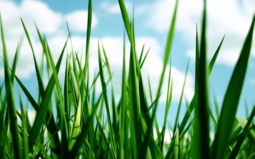 涵盖操作逻辑、避坑指南与实操建议，适合新手卖家和优化期店铺参考。