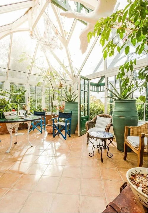 阳光房里的绿意盎然