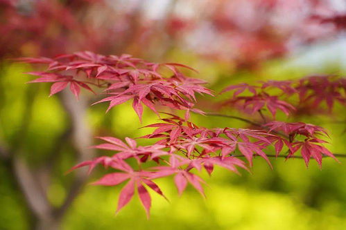 春天是个好时机