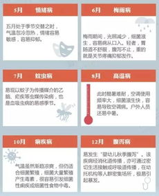 饲料小商招商政策中，如何自查招商引资效果以优化后续政策？