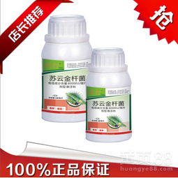 自制蔬菜杀虫剂，哪些配方既安全又好用
