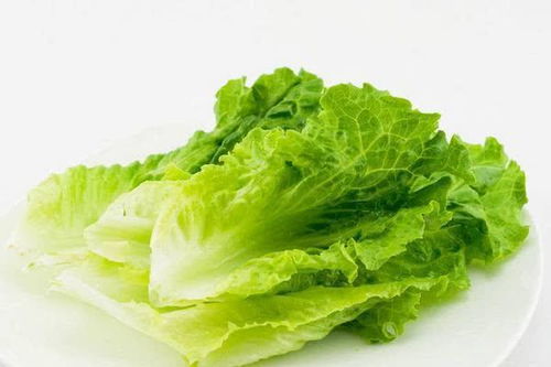 孕妇饮食，平安最重要：